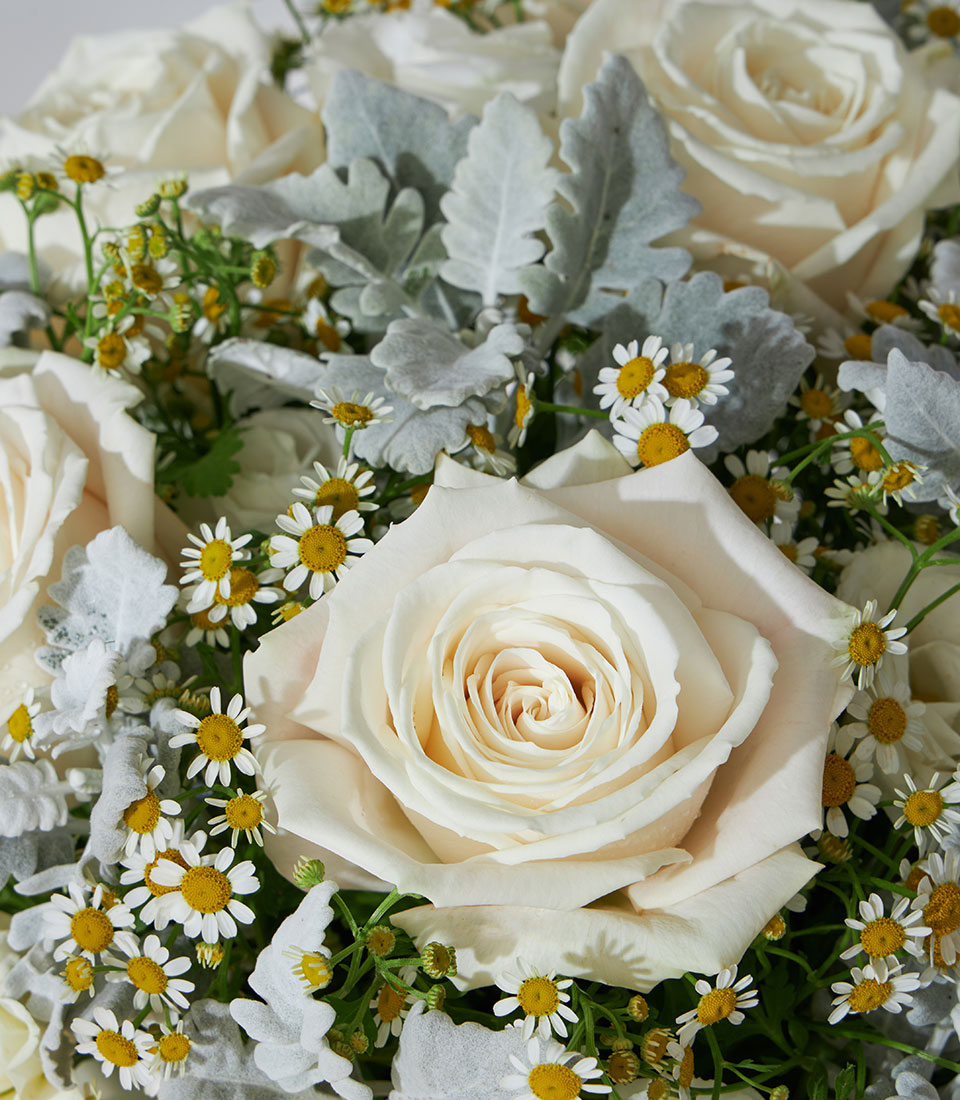 White roses and daisies in luxury leather flower box, premium fresh blooms for gifting