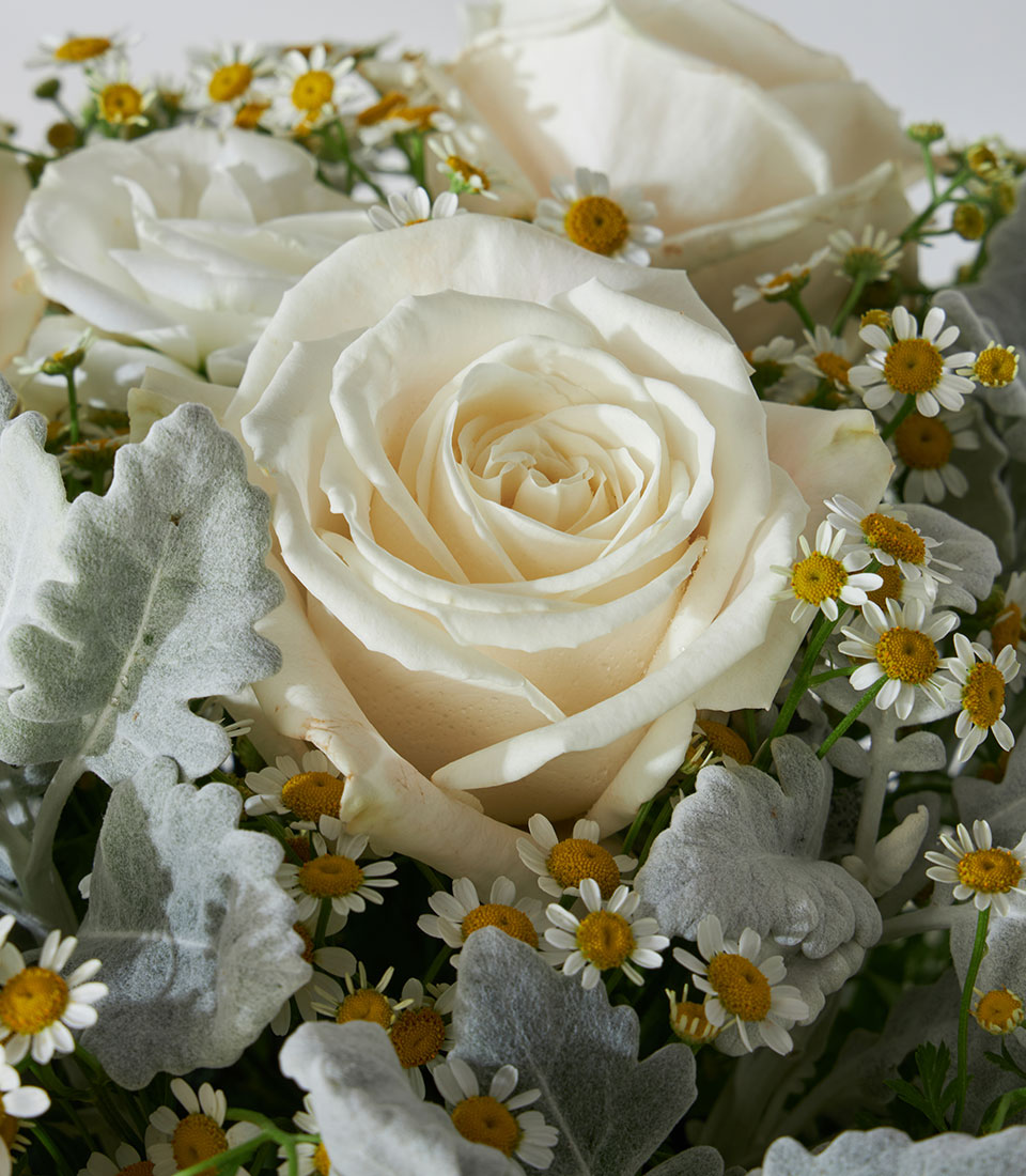 White roses and daisies in luxury leather flower box, premium Ecuador-sourced arrangement