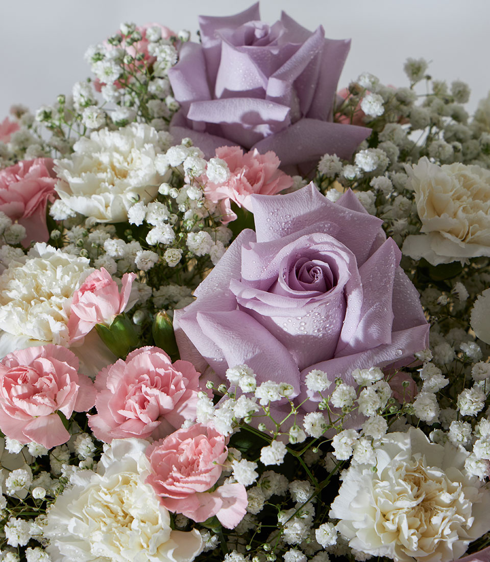Lavender roses with pastel carnations and baby's breath in premium gift box arrangement