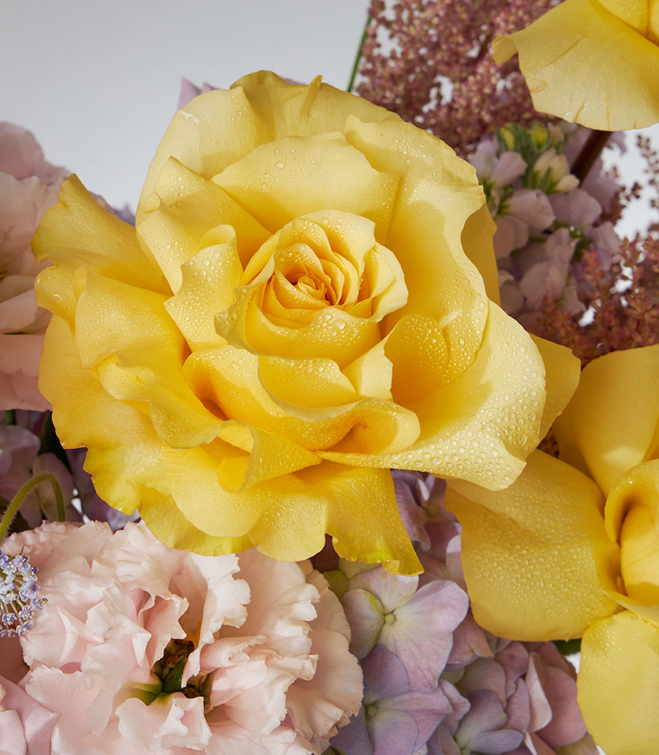 Vibrant yellow, pink, and lavender velvet flower box with fresh roses and hydrangeas for birthday gifting
