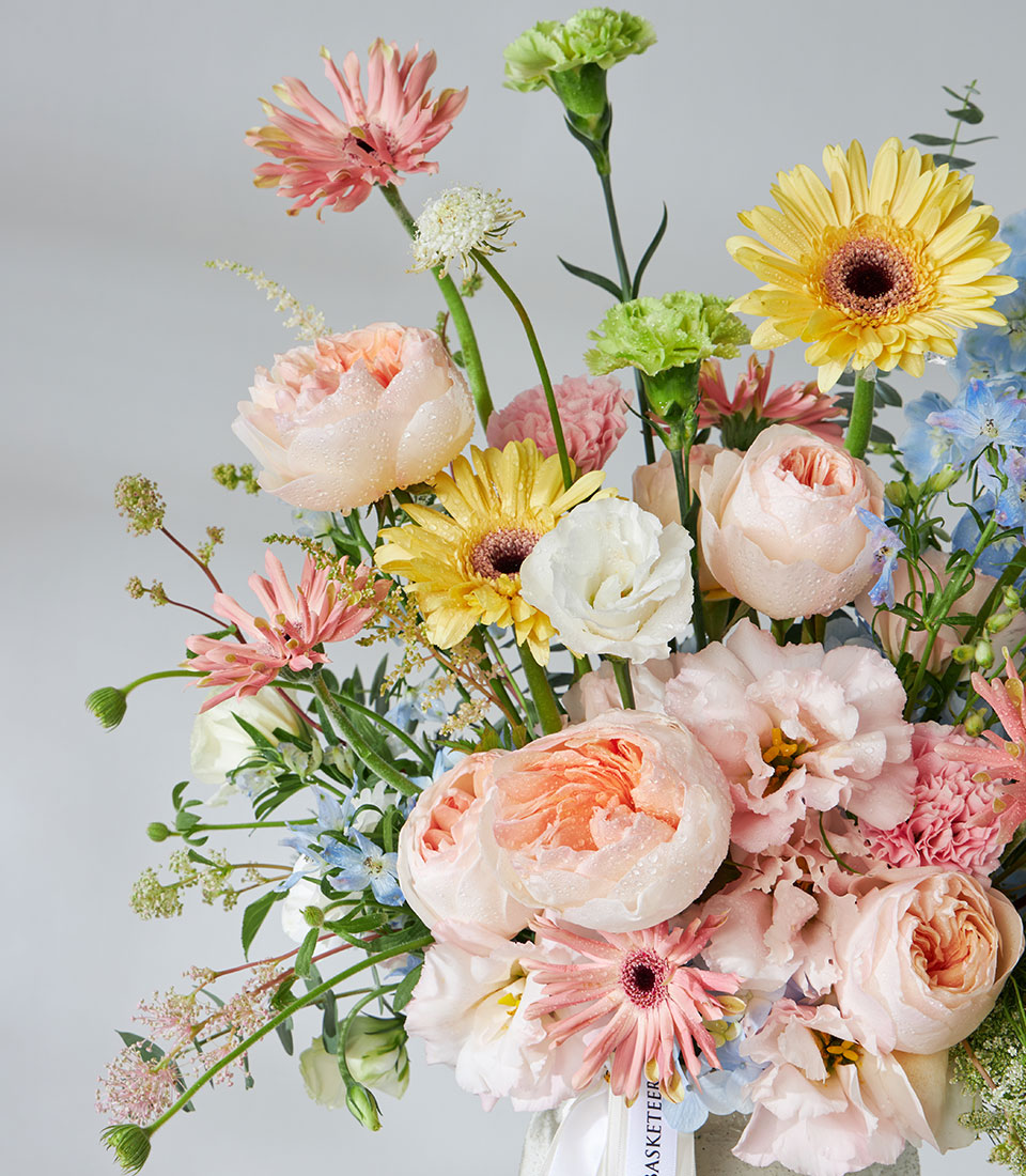 Pastel garden roses, daisies, and delphiniums in fresh floral arrangement with water droplets