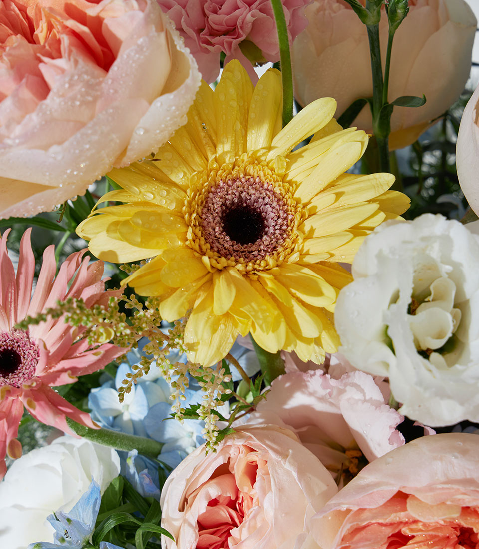 Juliet roses and pastel garden flowers in ceramic vase with delphiniums and white lisianthus