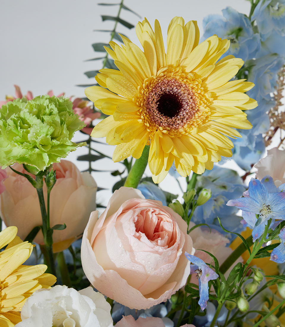 Juliet roses and pastel garden flowers in ceramic vase with yellow gerbera, blue delphinium, and fresh greenery