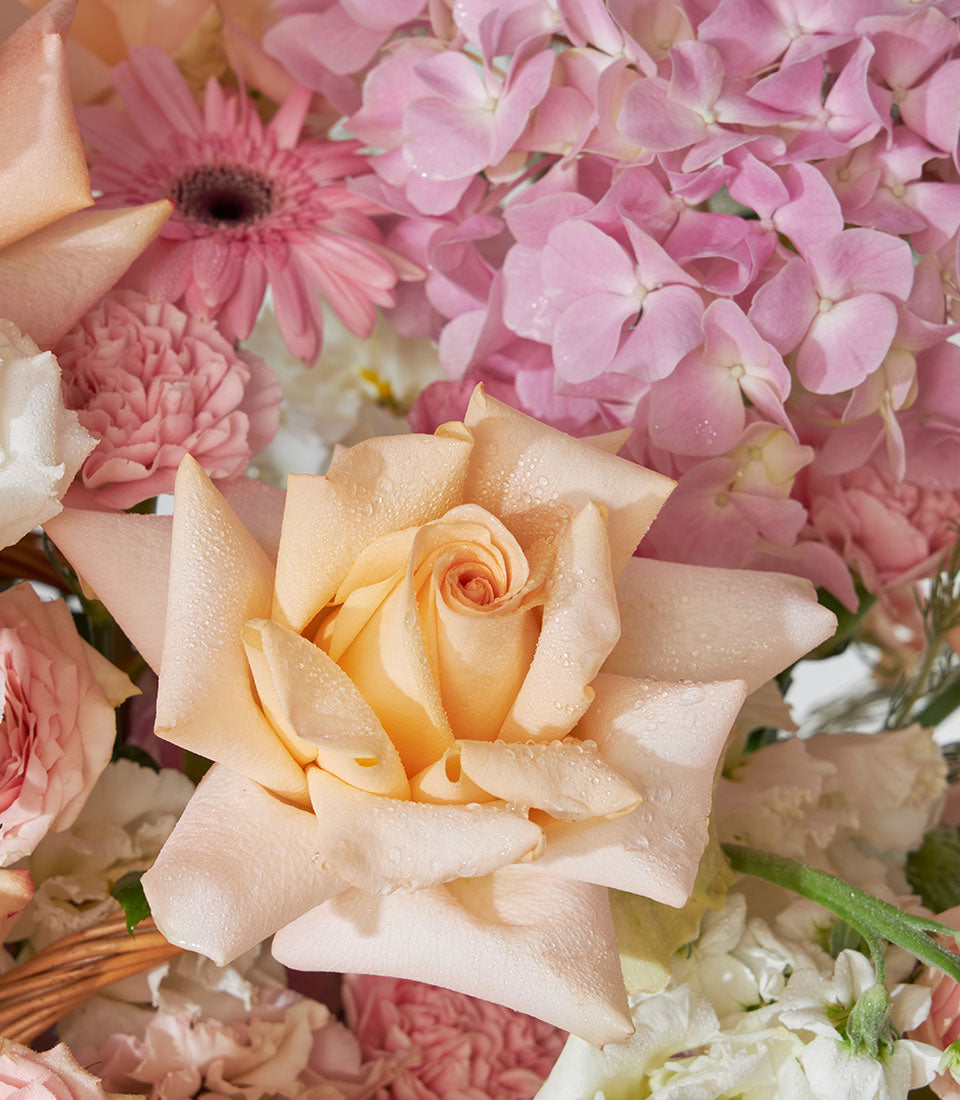Peach rose, pink hydrangea, and gerbera daisy arrangement in woven basket