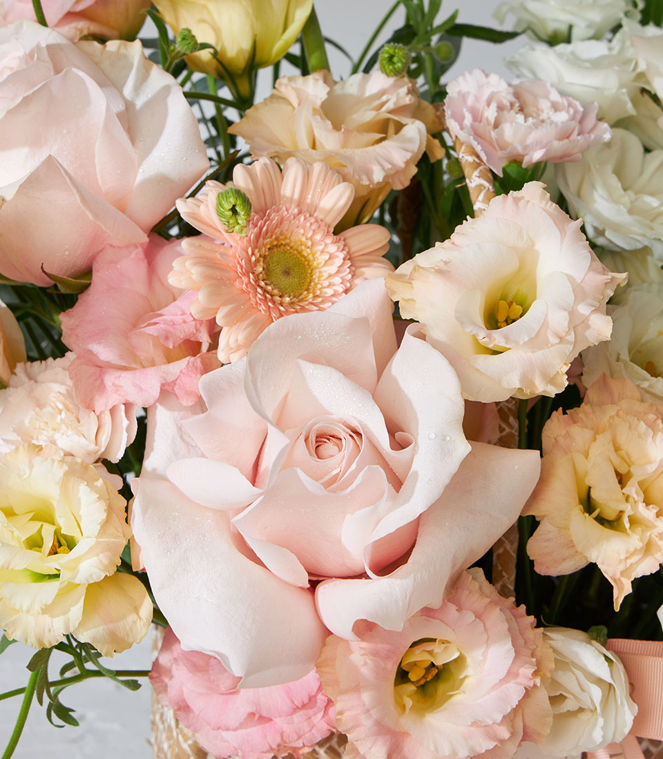 Fresh white O'Hara and pink Mondial roses with peach gerberas in pastel birthday flower basket