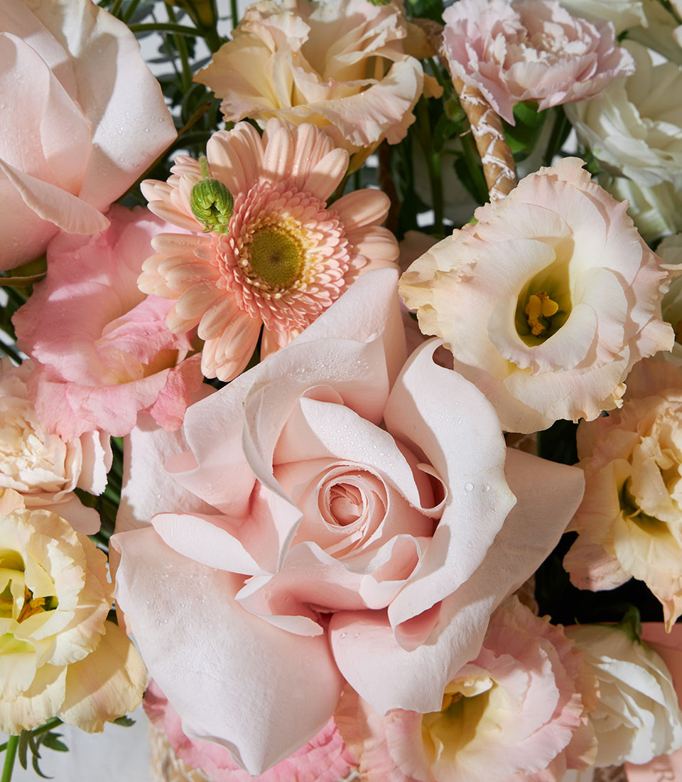 Pastel pink and cream roses with gerbera daisies in a woven basket, fresh birthday flowers