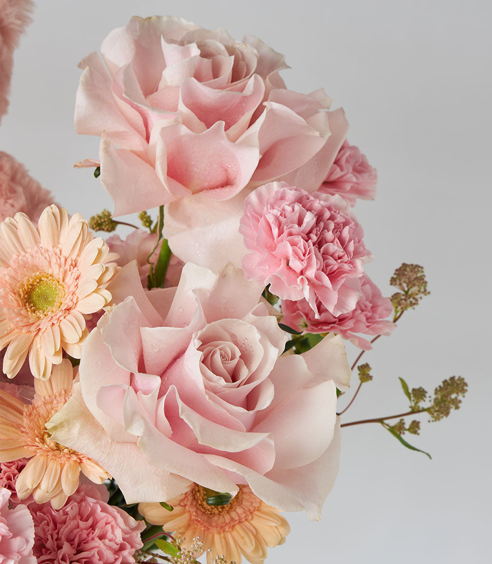 Pink Mondial roses and blush carnations with peach gerberas and teddy bear accent in luxury flower box