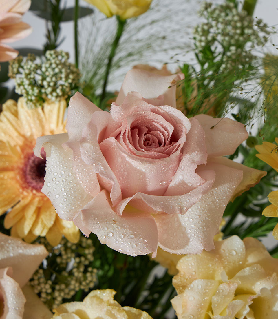 Pastel pink and yellow roses with gerbera daisy fresh flower basket for birthdays