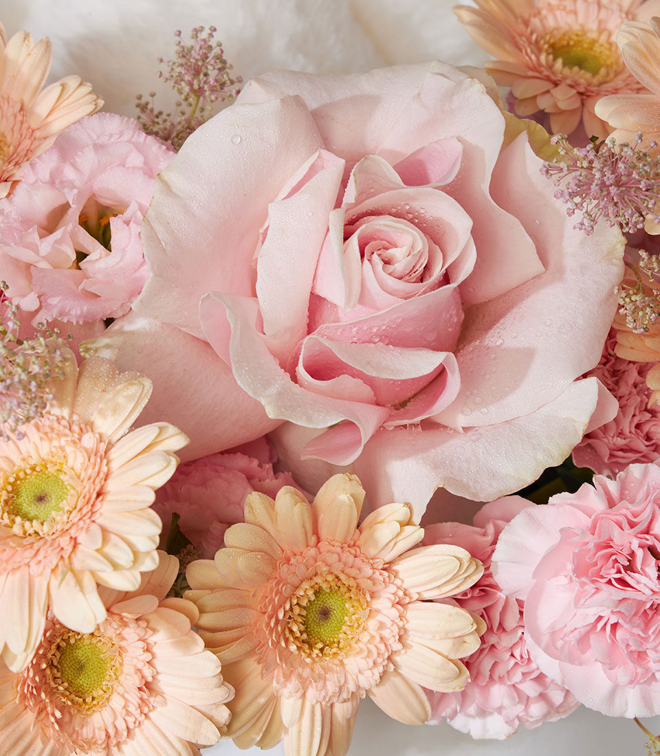 Pink Mondial roses and snow bunny plush in fresh flower gift box, birthday arrangement with gerbera daisies and carnations