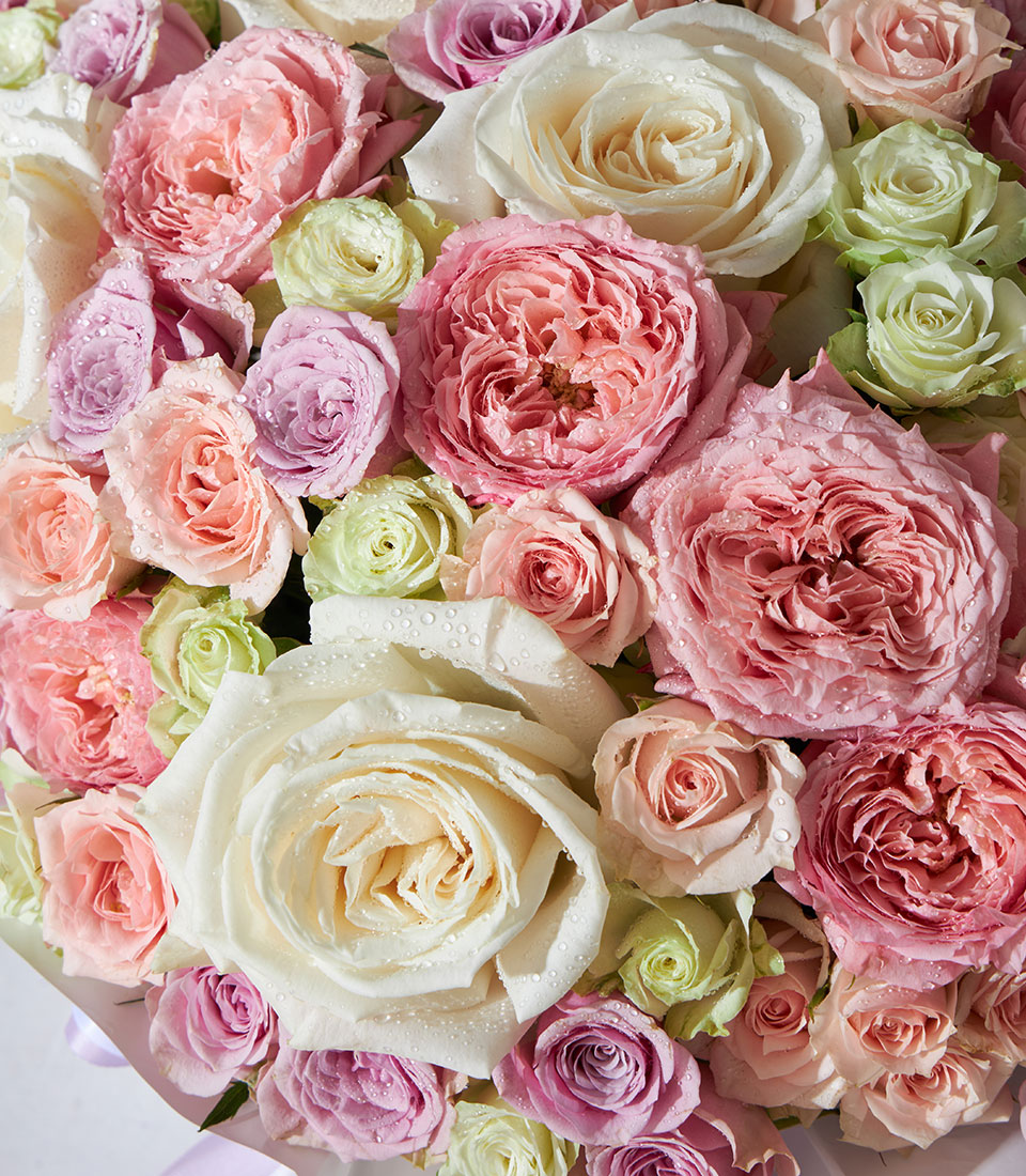 Luxury rose and spray rose gift box in pink, white, and lavender with fresh water droplets