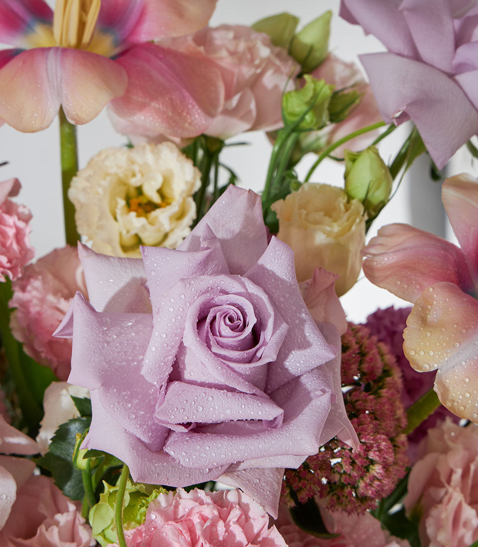 Pastel rose, tulip, and carnation basket with lavender-purple blooms and fresh water droplets