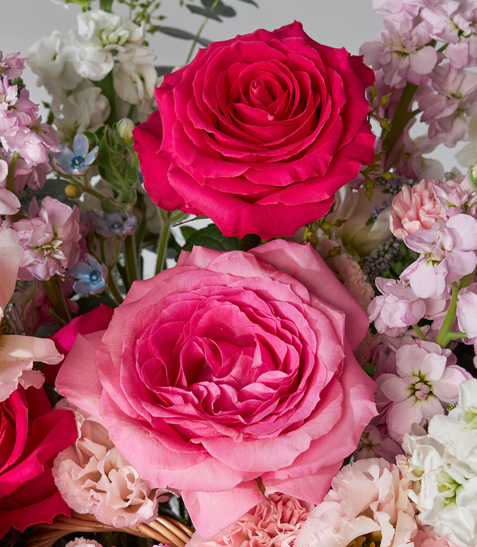 Vibrant rose garden basket with fuchsia and pink roses, light blue and white complementary flowers in woven basket