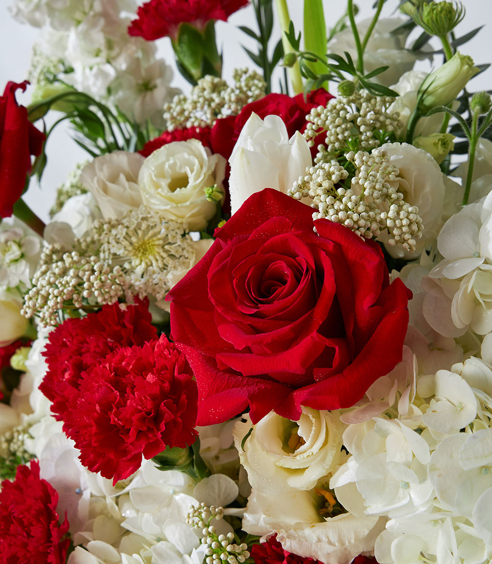 Red roses and white hydrangea fresh flower arrangement in decorative basket