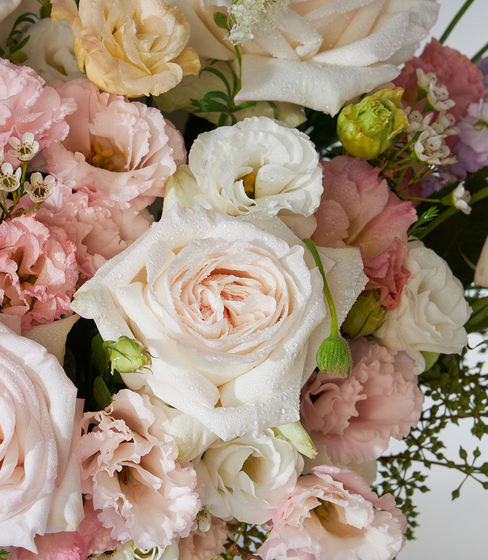 White O'Hara roses and pastel lisianthus birthday flower box arrangement with cream and blush blooms
