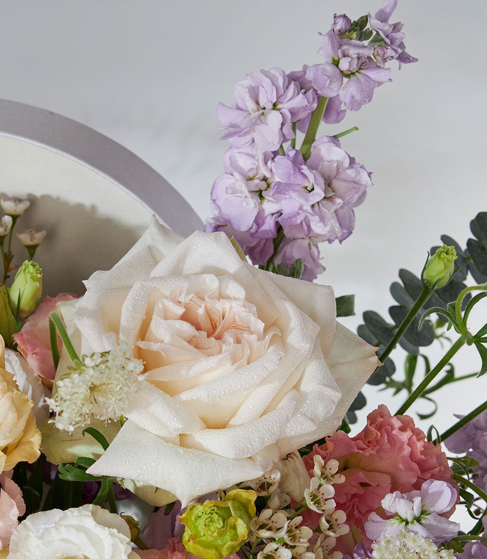 Pastel white O'Hara roses and lisianthus birthday flower box with fresh Ecuador roses