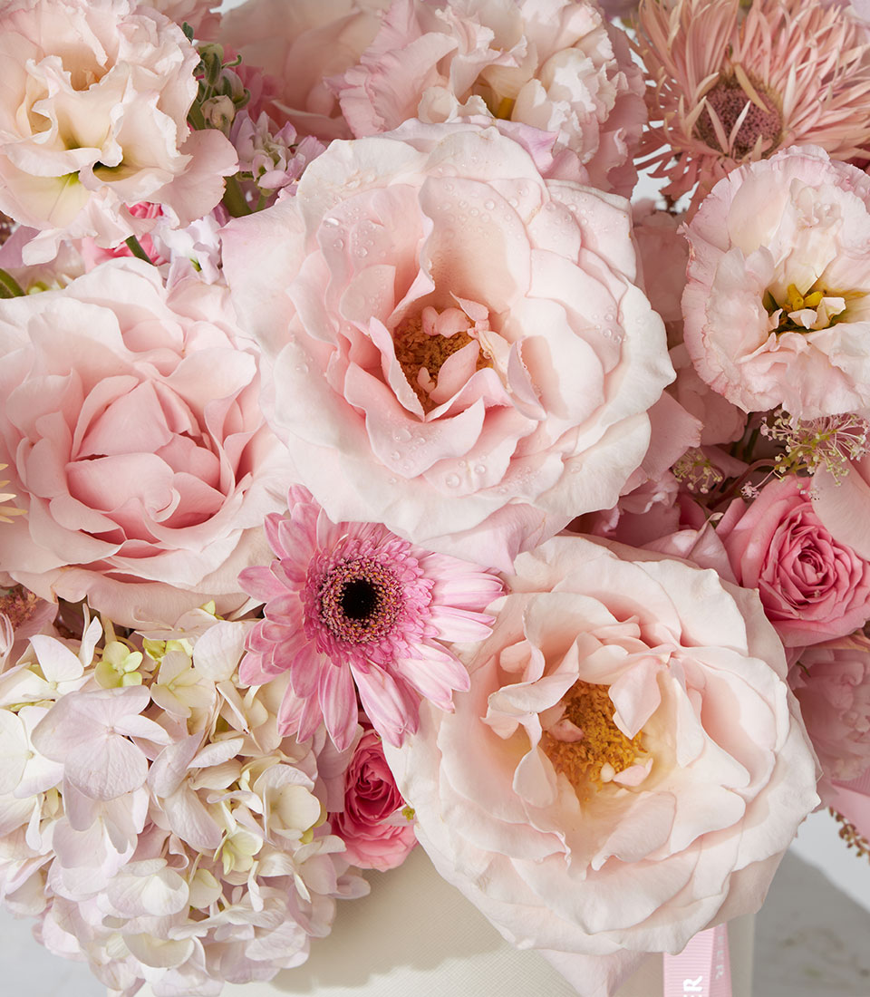 Pink cloud and lydia spray roses with hydrangea and gerbera in ivory gift box
