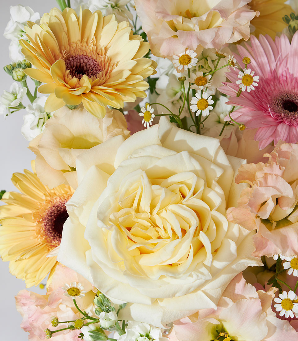 Luxury pink velvet box with candlelit roses, yellow gerberas, and cream lisianthus arrangement