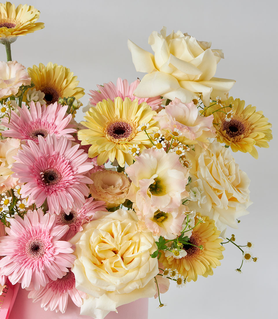 Pink gerbera daisies, cream roses, and lisianthus in luxury velvet presentation box