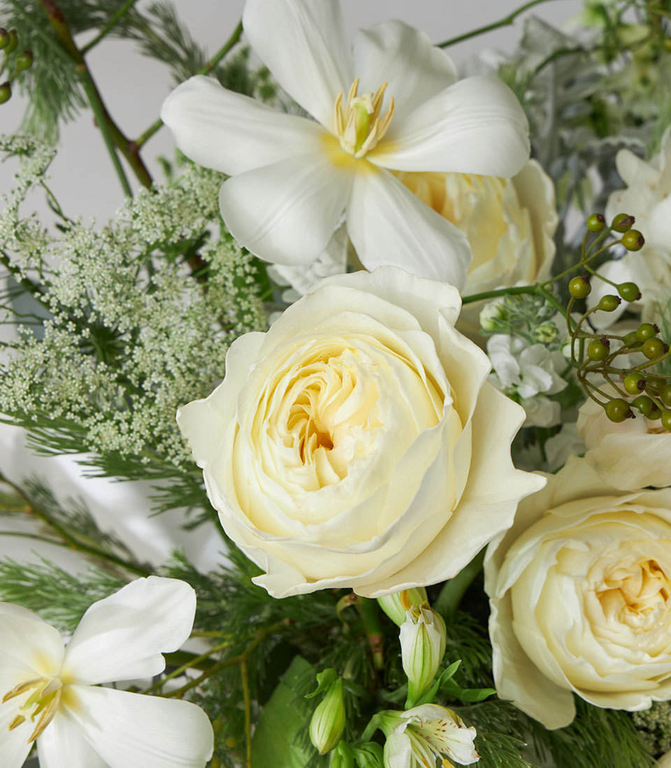 Cream roses and white hydrangea elegant floral arrangement in basket gift