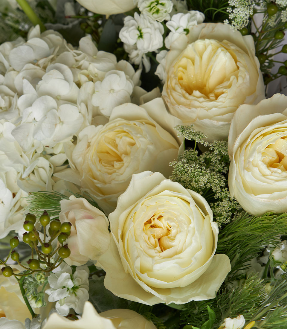 Luxury garden roses and white hydrangea arrangement in cream and ivory tones with lush greenery