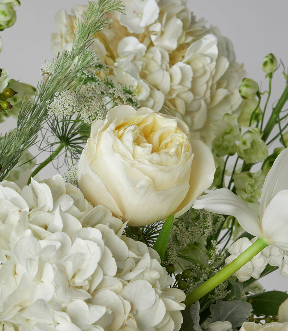 Elegant white rose and hydrangea basket with cream garden roses, white tulips, and green foliage