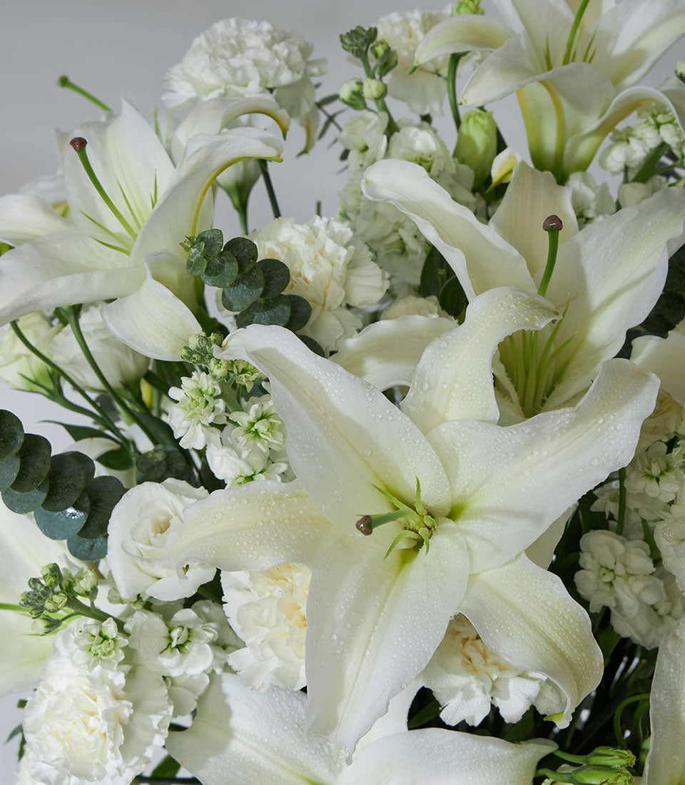 Fresh white lilies and carnations with eucalyptus in elegant white vase