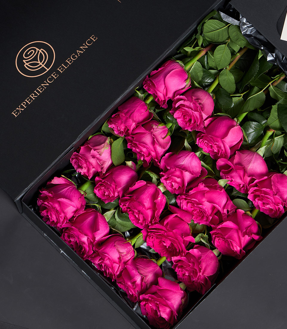 Luxury fuchsia Ecuadorian roses in black gift box, premium Valentine's Day flower arrangement