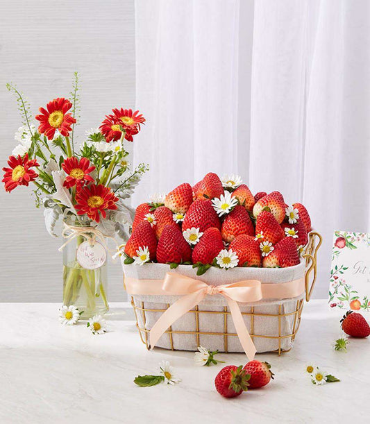 Fresh strawberry basket with red gerberas and white daisies, get well gift arrangement