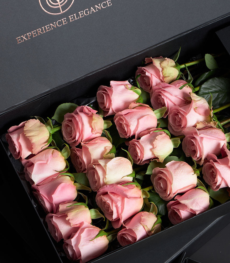Luxurious soft pink rose bouquet in black VIP gift box with rose gold embossing, perfect Valentine's Day flower gift