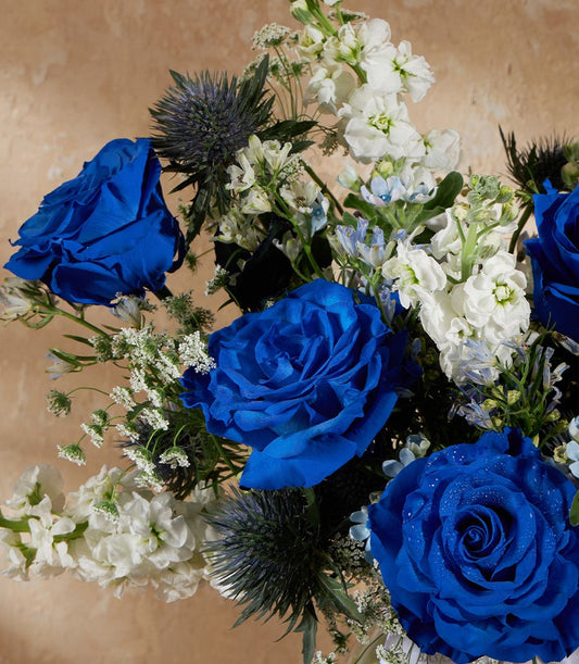 Deep blue roses with white stock flowers and blue thistle in premium vase arrangement