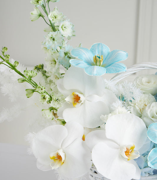 Serene white woven basket with white orchids, light blue tulips, and delicate white florals for Mother's Day