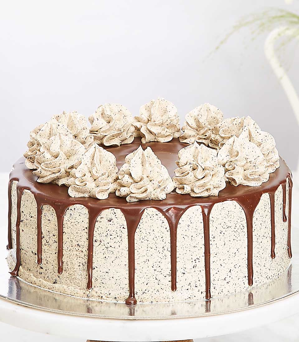 Elegant two-layer cream cake with dark chocolate ganache drip and speckled frosting swirls