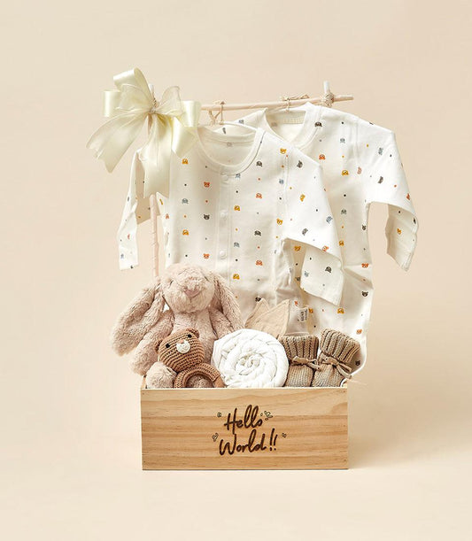 Wooden crate baby gift set with white rompers, plush bunny, teddy bear, and knitted booties