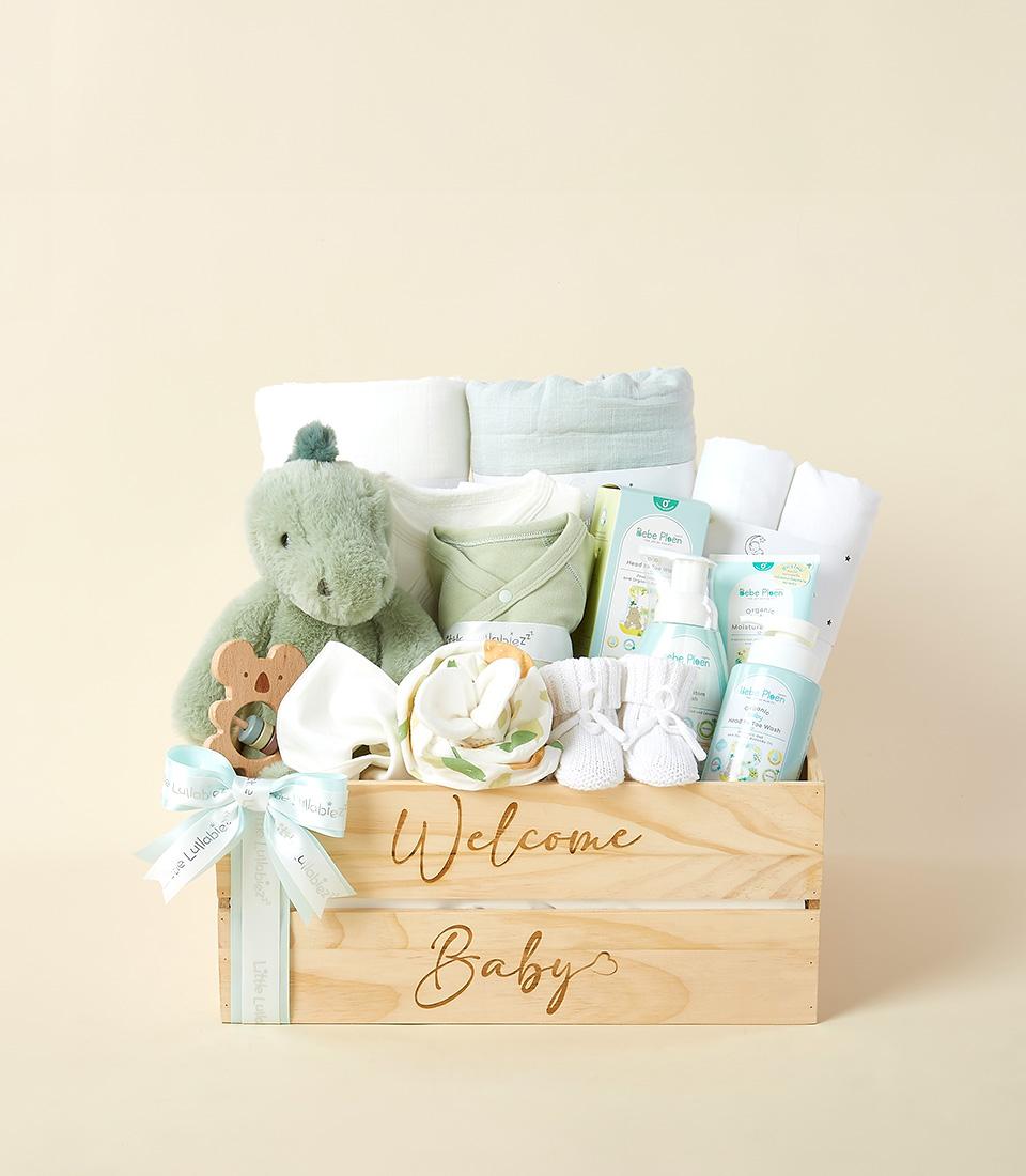 Light green newborn gift crate with plush dinosaur toy, baby onesie, blankets, and care products for welcome baby