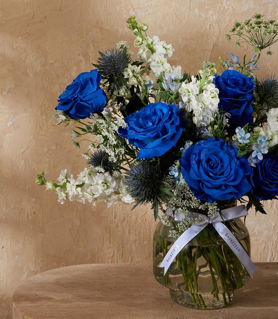 Deep blue roses and white stock flowers in clear glass vase with white ribbon, premium luxury gift arrangement