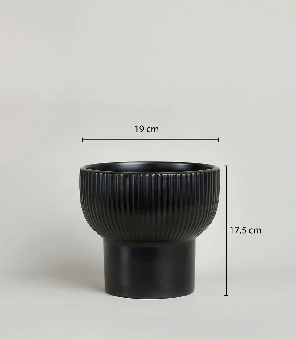 White Pearl Orchid in black ceramic ribbed planter, 19cm wide luxury gift pot