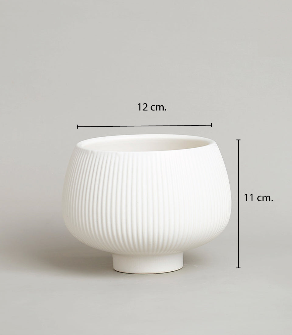 White ceramic ribbed vase with orchids, 12cm wide elegant gift planter