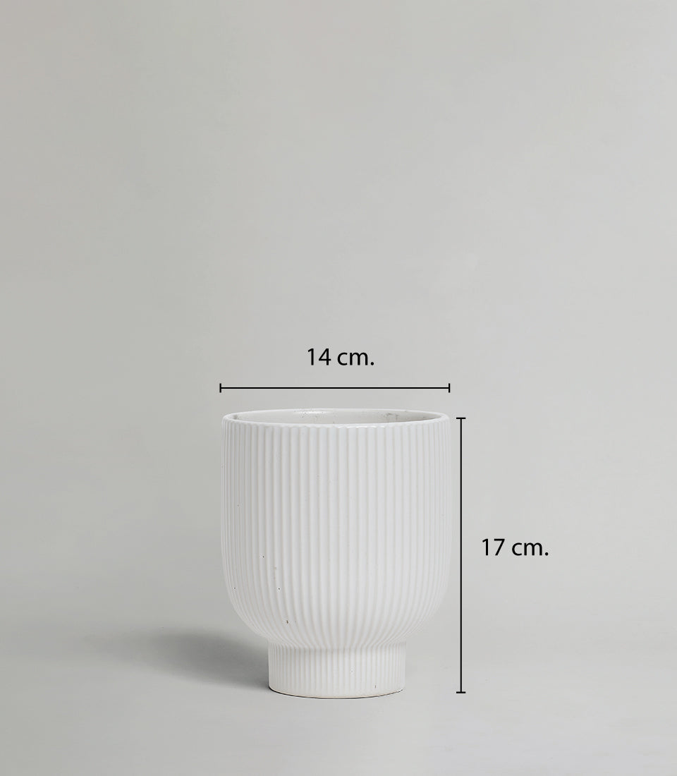 Modern white ribbed ceramic vase with pedestal base, 17cm height, minimalist home décor gift