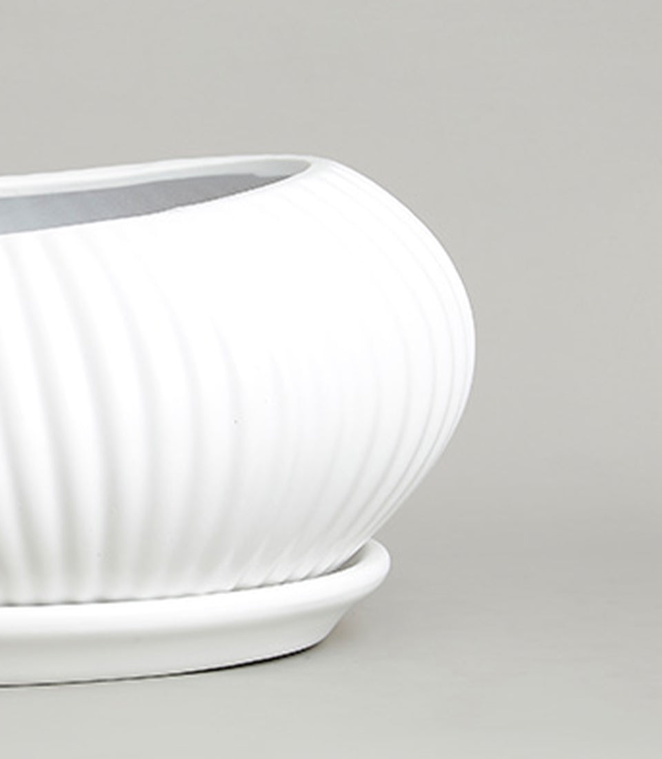 White ribbed ceramic vase with matching saucer, modern minimalist design for fresh flowers or foliage
