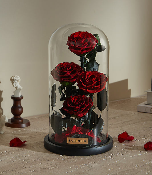 Preserved red roses under glass dome with scattered petals, Valentine's luxury gift