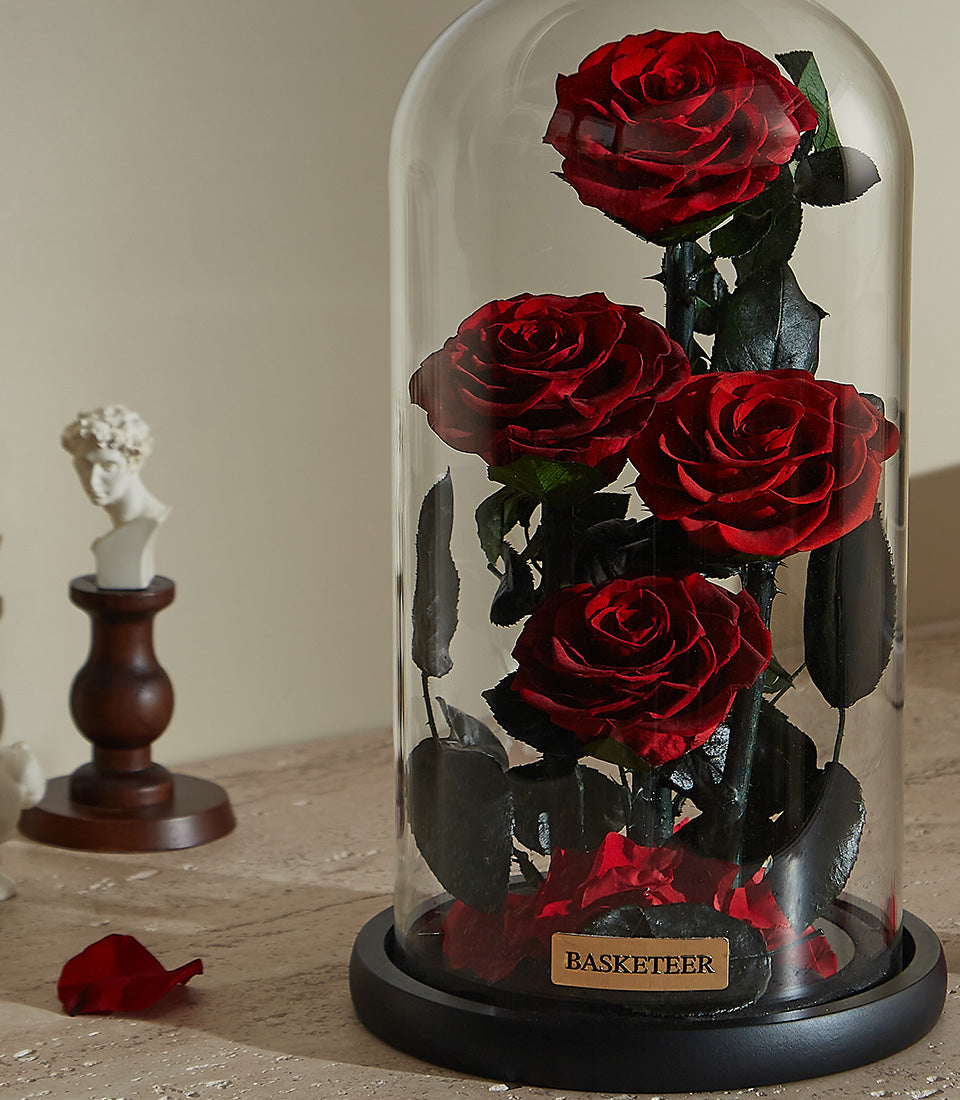 Preserved red roses in glass dome cloche, romantic Valentine's gift with dark stems and black base stand