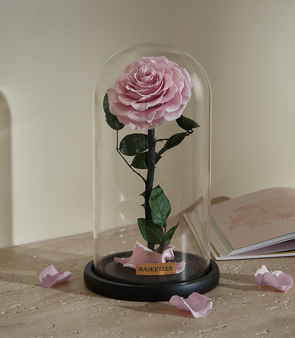 Preserved pink rose in glass dome with black base, Valentine's gift for her