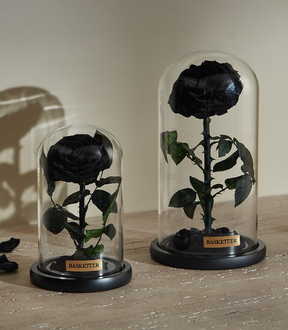 Preserved black roses in glass domes with green leaves, luxury Valentine's gift for him