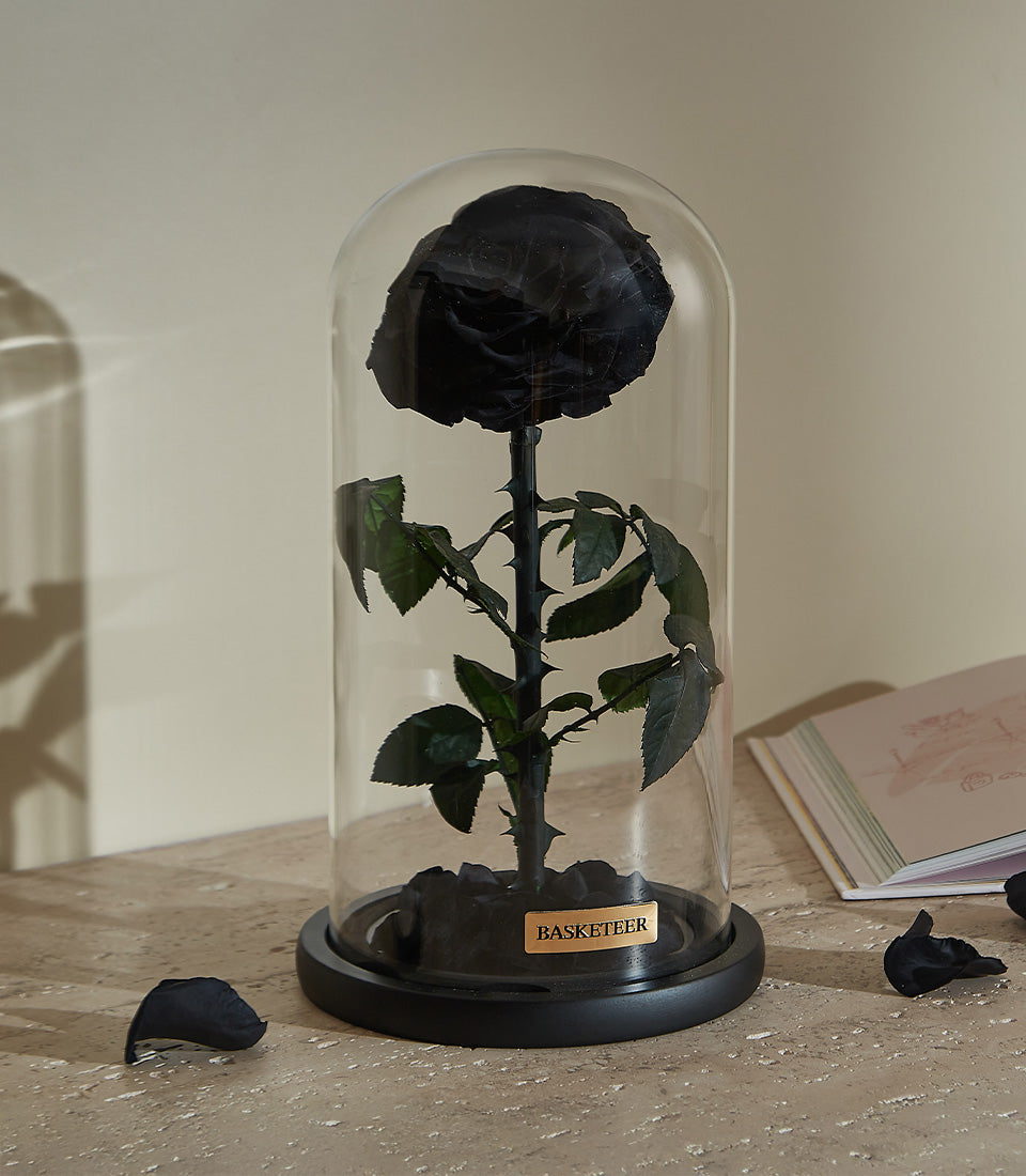 Preserved black rose in glass dome with gold-plated base, luxury Valentine's gift for him