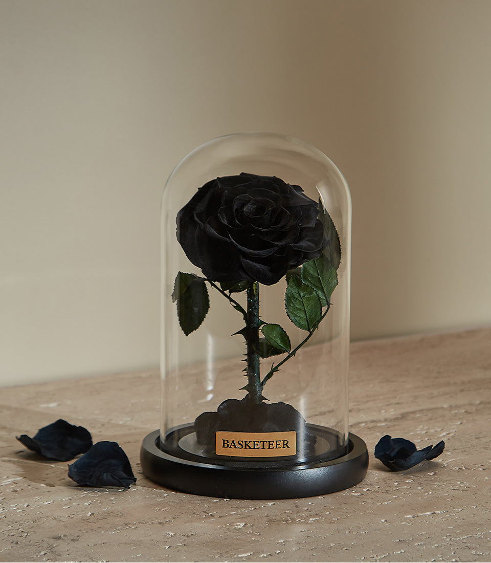 Preserved black rose under glass dome with wooden plaque on black base, luxury gift for him