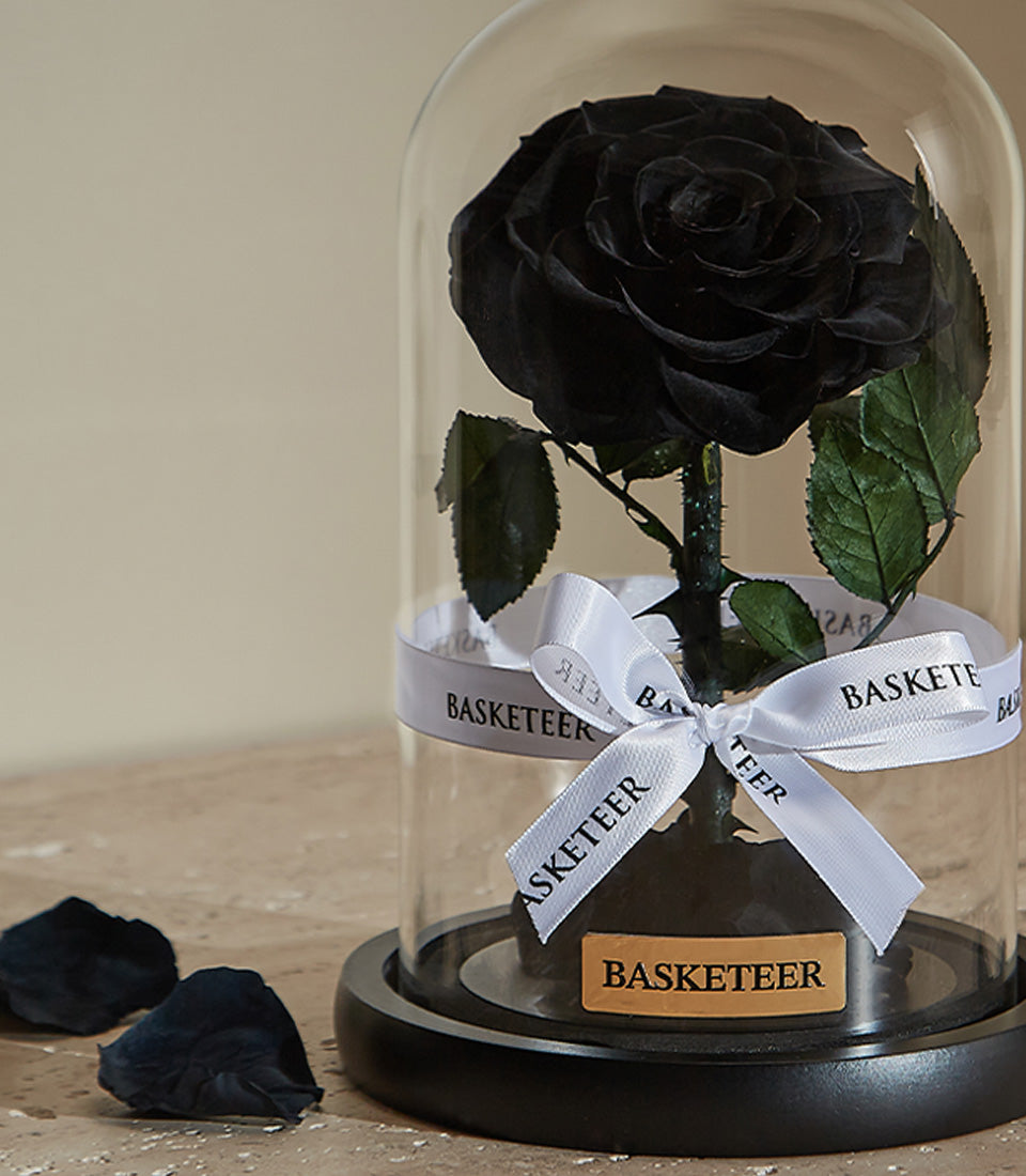 Preserved black rose in glass dome with white satin ribbon, luxury gift for him