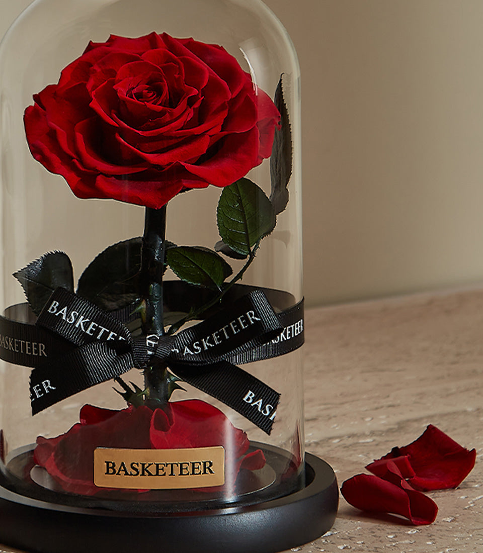 Preserved red rose under glass dome with black base, Valentine's Day gift for her