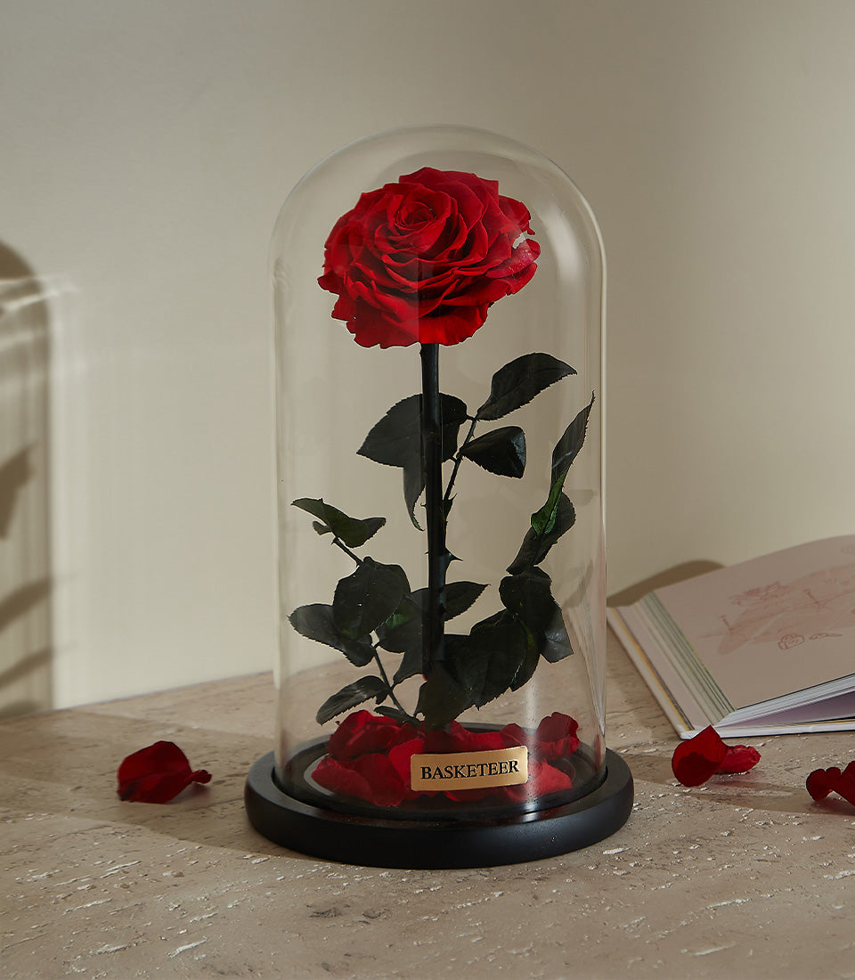 Preserved red rose in glass dome with scattered petals, luxury Valentine's Day gift for her