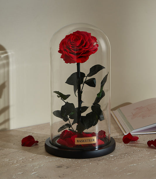 Preserved red rose in glass dome with scattered petals, luxury Valentine's Day gift for her