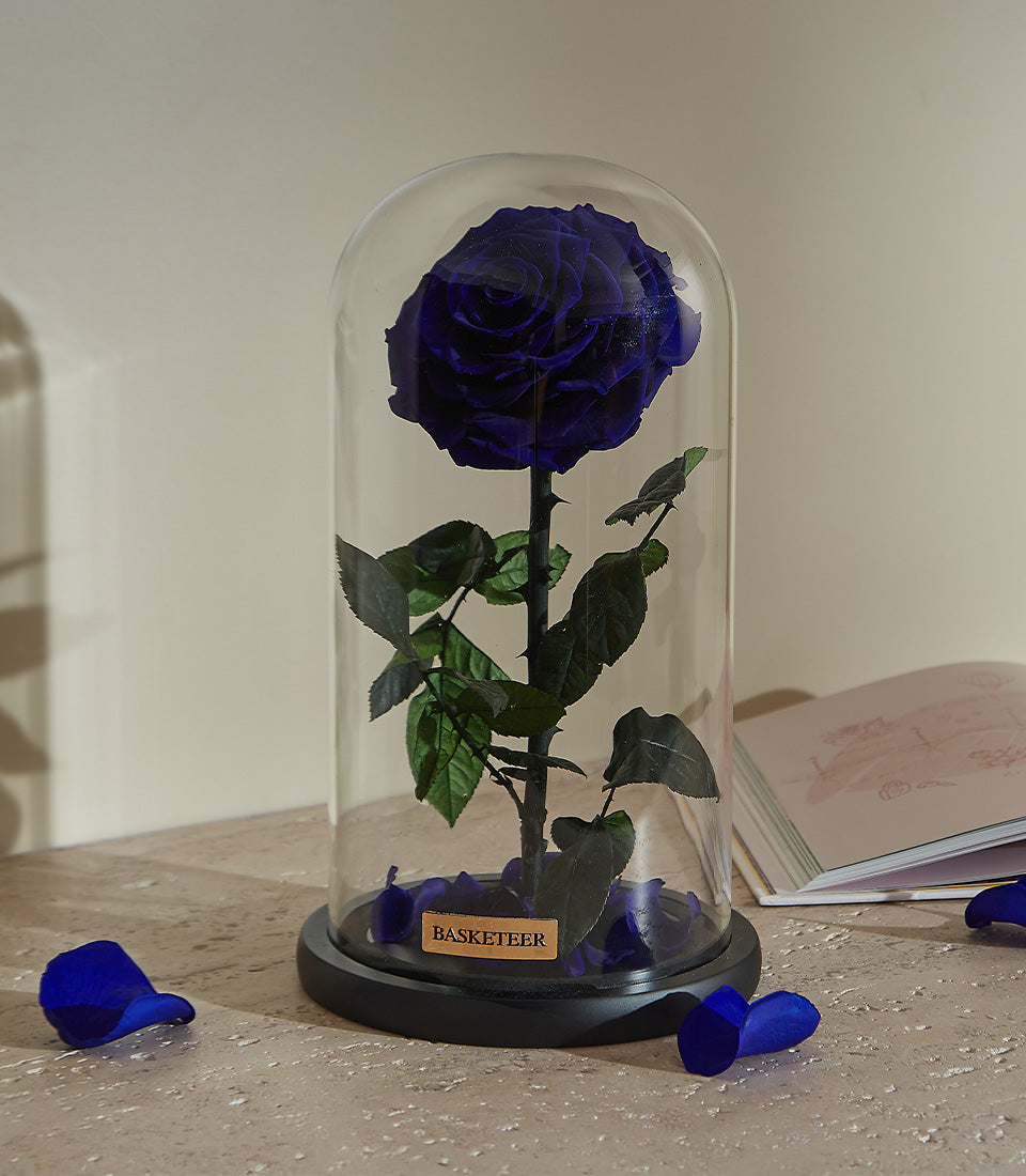 Royal blue preserved rose in glass dome on black base, luxury Valentine's gift for him